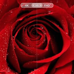 RCA RS65U2 - 65 inch - 4K LED - 2020 — thumbnail 5