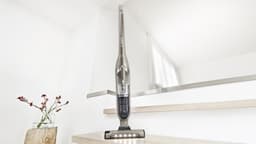 Bosch Flexxo BBH3ALL23 Serie 4 - Steelstofzuiger - Bruin — thumbnail 2