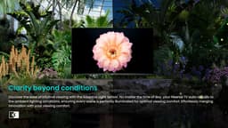 Hisense 43A7NQ - 43 inch - 4K QLED - 2024 — thumbnail 13