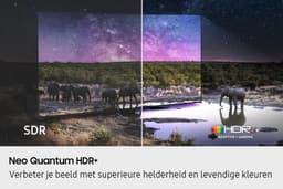 Samsung QE43QN92F - 43 inch - 4K Neo QLED - 2025 - Smart TV — thumbnail 18