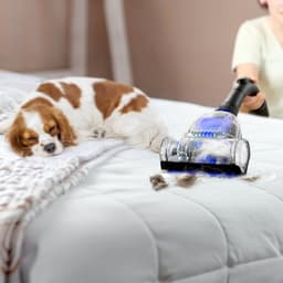 AG3100 Stofzuiger Zonder Zak - Stofzuigers - Vacuum Cleaner Zakloos - Geschikt Voor Dierenharen -900W - Sterke Zuigkracht - Blauw — thumbnail 5