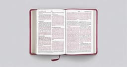 ESV Large Print Compact Bible — thumbnail 4