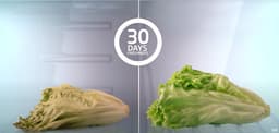 Beko B5RCNE365LXB - HarvestFresh - Koel-vriescombinatie — thumbnail 4