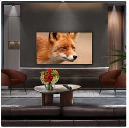 LG C5 OLED77C54LA - 77 inch - 4K OLED Evo - 2025 - Smart TV — thumbnail 11