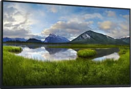 DELL 24 Monitor P2425H 23.8inch — thumbnail 4
