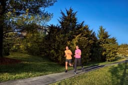 Garmin Forerunner 55 - Sporthorloge met GPS Tracker - Geschikt voor Hardlopen - 42mm - Zwart — thumbnail 8