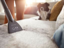 Philips 2000 series Stofzuiger zonder zak, 850 W, PowerCyclone 4 — thumbnail 5