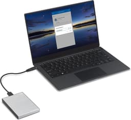 Seagate One Touch - Draagbare externe harde schijf - Wachtwoordbeveiliging - 1TB - Zilver — thumbnail 6
