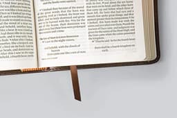ESV Large Print Compact Bible — thumbnail 6