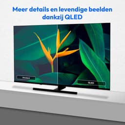 MEDION TV 125,7 cm (50 inch) QLED (Google TV, 4K, Dolby Vision HDR, Netflix, Prime Video, Disney+, Dolby Atmos, DTS X, Smart TV, PVR, Bluetooth, MD 850700) — thumbnail 6