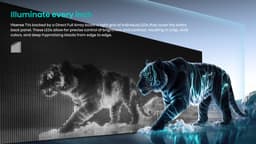 Hisense 43A7NQ - 43 inch - 4K QLED - 2024 — thumbnail 25