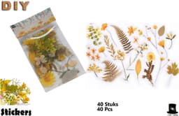 Bob Online ™ - 40 Stuks – Deco Stickers - Geel Bloemenstickers PET – Transparant Bloemstickers voor Scrapbooking, Kaarten Maken, Inpakken, DIY Ambachten, Waterflessen, Telefoonhoesjes, Laptops – Flower Stickers PET – Retro Floral Stickers Yellow — thumbnail 1