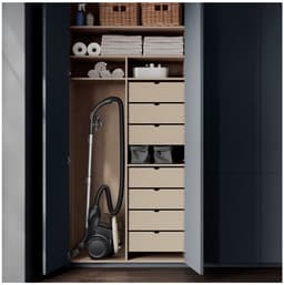 AEG AL61H4SW 1,6 l Cilinderstofzuiger Droog 550 W Zakloos — thumbnail 7