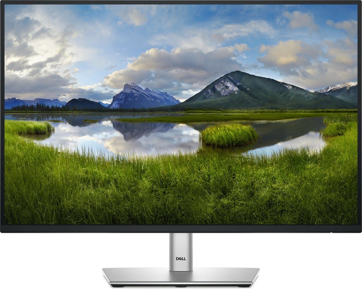 Monitor Dell P2425E WUXGA 24,1" 100 Hz — afbeelding 1