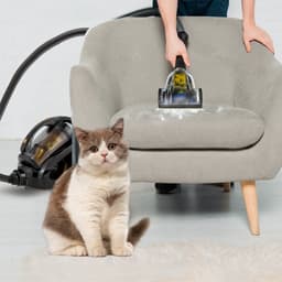 AG3100 Stofzuiger Zonder Zak - Gold - Stofzuigers - Vacuum Cleaner Zakloos - 8.5 Meter - 900W - Sterke Zuigkracht - HEPA Filter - Compact, Licht & Krachtig - Gemakkelijk Schoon Te Maken — thumbnail 6