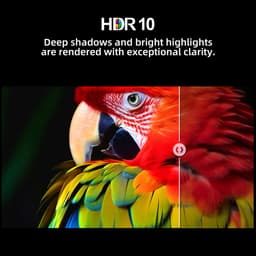 CHiQ U43QM10E – 43 inch 4K QLED Smart TV – Google TV – Dolby Vision & Dolby Audio – HDMI 2.1 – WiFi & Bluetooth — thumbnail 10