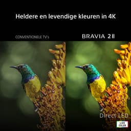 Sony BRAVIA 2 II - 65 inch - 4K LED - 2026 — thumbnail 17