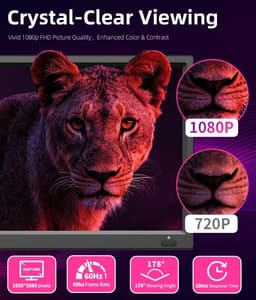 Kleine HD 1080P Smart TV met WebOS, ATSC/HDMI/USB/AV-tuner voor Camper of Keuken — thumbnail 5