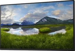 DELL 24 Monitor P2425H 23.8inch — thumbnail 5