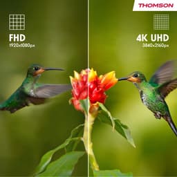 Thomson - Google TV - 4K Ultra HD - 43UG4S14 — thumbnail 8
