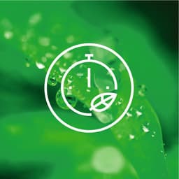 AEG LTR6B62 6000 serie ProSense - Wasmachine bovenlader - Energielabel B - 6 kg - NL/FR — thumbnail 10