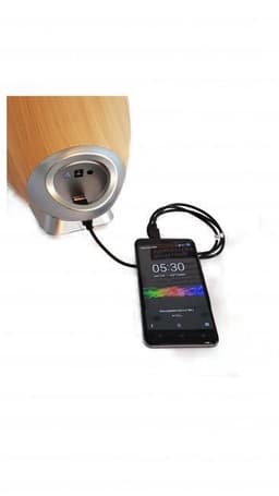 Swisstone BX 700 Bluetooth Luidspreker 15W (Beige-Bruin) — thumbnail 12