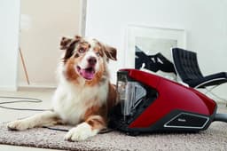 Miele Blizzard CX1 Cat & Dog PowerLine - Stofzuiger zonder zak - Herfstrood — thumbnail 14