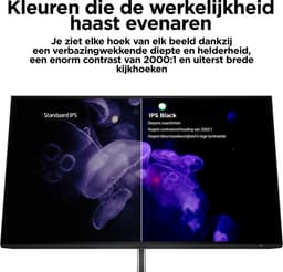 Monitor HP 50U19AA#ABB — thumbnail 15