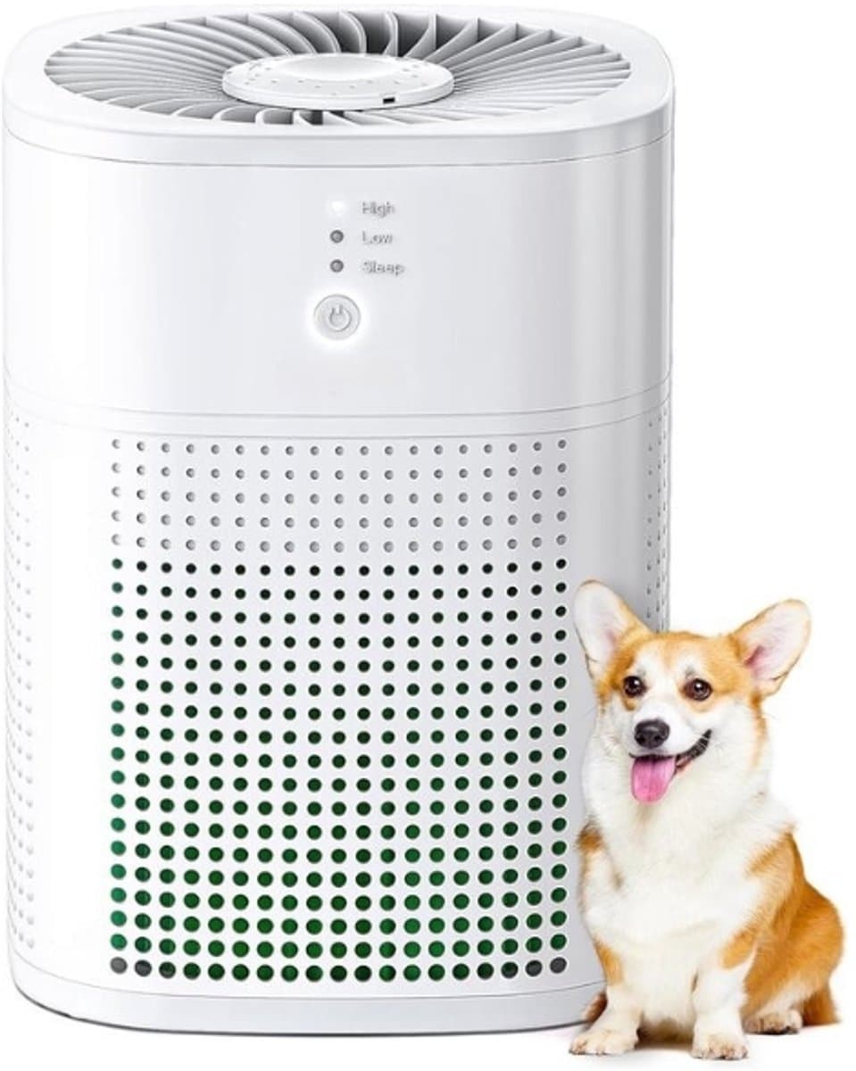 StayPowered Luchtreiniger - Aromatherapie en Stille Werking voor een Gezonde Slaapomgeving - 3in1 Filtersysteem - 360° Luchtinlaat - Nachtmodus - Eenvoudige Bediening - Geschikt voor Kleine Ruimtes - Zwart - Levering Sneller dan Aangegeven! — afbeelding 1